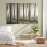 Leinwandbild Carozzi - Märchenhafter Wald im Morgennebel 