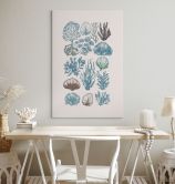 Canvas schilderij Filigraan algen en schelpen | onderwaterplanten - casa cartissi 