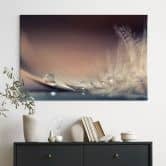 Leinwandbild Story of a Waterdrop | Feder Wandbild - Dmitry 
