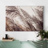 Leinwandbild Gräser in Pastell 