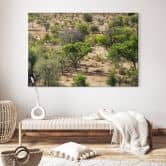 Leinwandbild Savannenlandschaft in Afrika - Hugonnard 