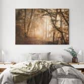 Leinwandbild Wald im morgendlichen Nebel - Maier 
