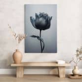 Leinwandbild Samtige Tulpe in Schwarz - Paksoylu 
