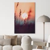 Leinwandbild Gräser im Licht der glühenden Sonne - Treechild 