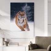 Leinwandbild Sibirischer Tiger im Schnee - van Duijn 