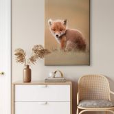Leinwandbild van Duijn - Baby Fuchs 