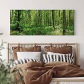 Leinwandbild Waldpanorama 01 