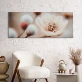 Blumen Leinwandbild Boho Blüte Soft Beige - Treechild - Panorama 