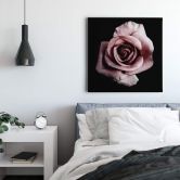 Canvas Beautiful Rose 