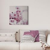 Canvas White Beauty 