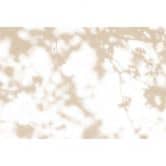 Livingwalls Fototapete Walls by Patel 3 Light Room 3 beige, weiß 