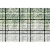 Livingwalls Fototapete Walls by Patel 3 Greenhouse 2 grün, weiß, grau, schwarz 