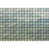 Livingwalls Fototapete Walls by Patel 3 Greenhouse 3 grün, grau, schwarz, weiß 