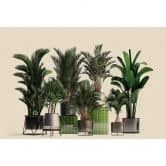 Livingwalls Fototapete Walls by Patel 3 Plant Shop 1 grün, beige, grau, schwarz 