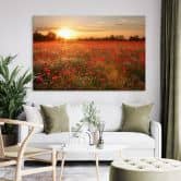 Wandbild Mohnfeld im Sonnenuntergang - Alu-Dibond 