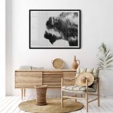 Poster Angyalosi - Bison 