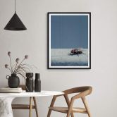 Poster Brown - Hausfliege auf Blau 