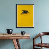 Poster Brown - Hausfliege auf Gelb 