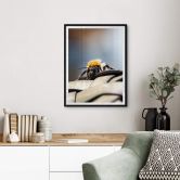 Poster Brown - Abeille 