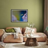 Poster Brown - Niedliche Spinne 