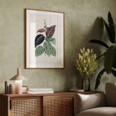 Poster Blatt Illustration - Bignonia Argyro Violacea 