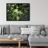 Poster Hugonnard - Wald in Japan 
