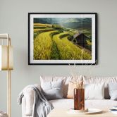 Poster Intarob - rizières au Vietnam 