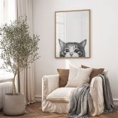 Poster Nieuwsgierige kat - Korenkova 