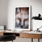 Poster Tierporträt Rotfuchs - Nagi 