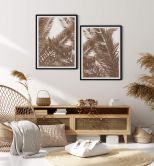 Poster Palmwedel 