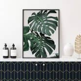 Plakat - Sisi & Seb - Monstera 
