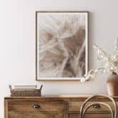 Poster Zarte Pusteblume 
