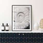 Poster Fossile Muschel - Shot by Clint 