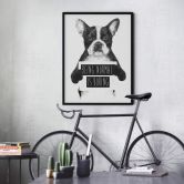 Poster Solti - Being normal is boring 