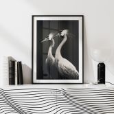 Poster Zwei Kronenkraniche in Schwarz-Weiß - Treechild 