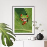 Poster Laubfrosch im Regenwald - van Duijn 