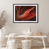 Poster Wechsler - Pflanzen Stillleben Agave im Herbst 