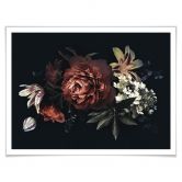 Poster - Blumenbouquet Rot 