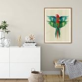 Poster Braun - Ara 