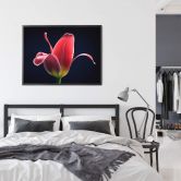 Poster Grønkjær - First Tulip 