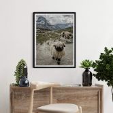Poster Landolt - Ausflug in die Berge 