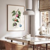 Poster Loose - Plante à macarons 