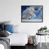 Poster Schumacher - White Winter Tree 
