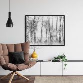 Poster Talen - Schwarz-weißer Birkenwald 