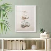 Poster 1X Studio - Meeresschnecken 