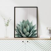 Poster Sisi & Seb - Succulente 