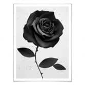 Poster Ireland - Fabric Rose - Stoffrose 