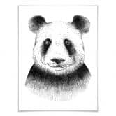 Poster Kvilis - Pandabär 