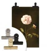 Poster Dietzsch - Essig-Rose mit Hummel 