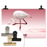 Poster Reindl - Pink Flamingo 